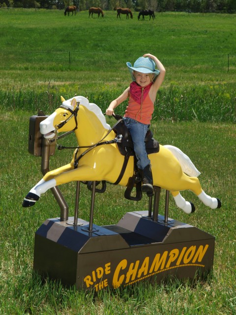 Champion Horse