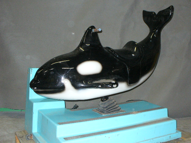 Killer Whale